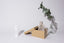 Gift box with eucalyptus