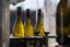 Waresley Park Bacchus - The Hundred