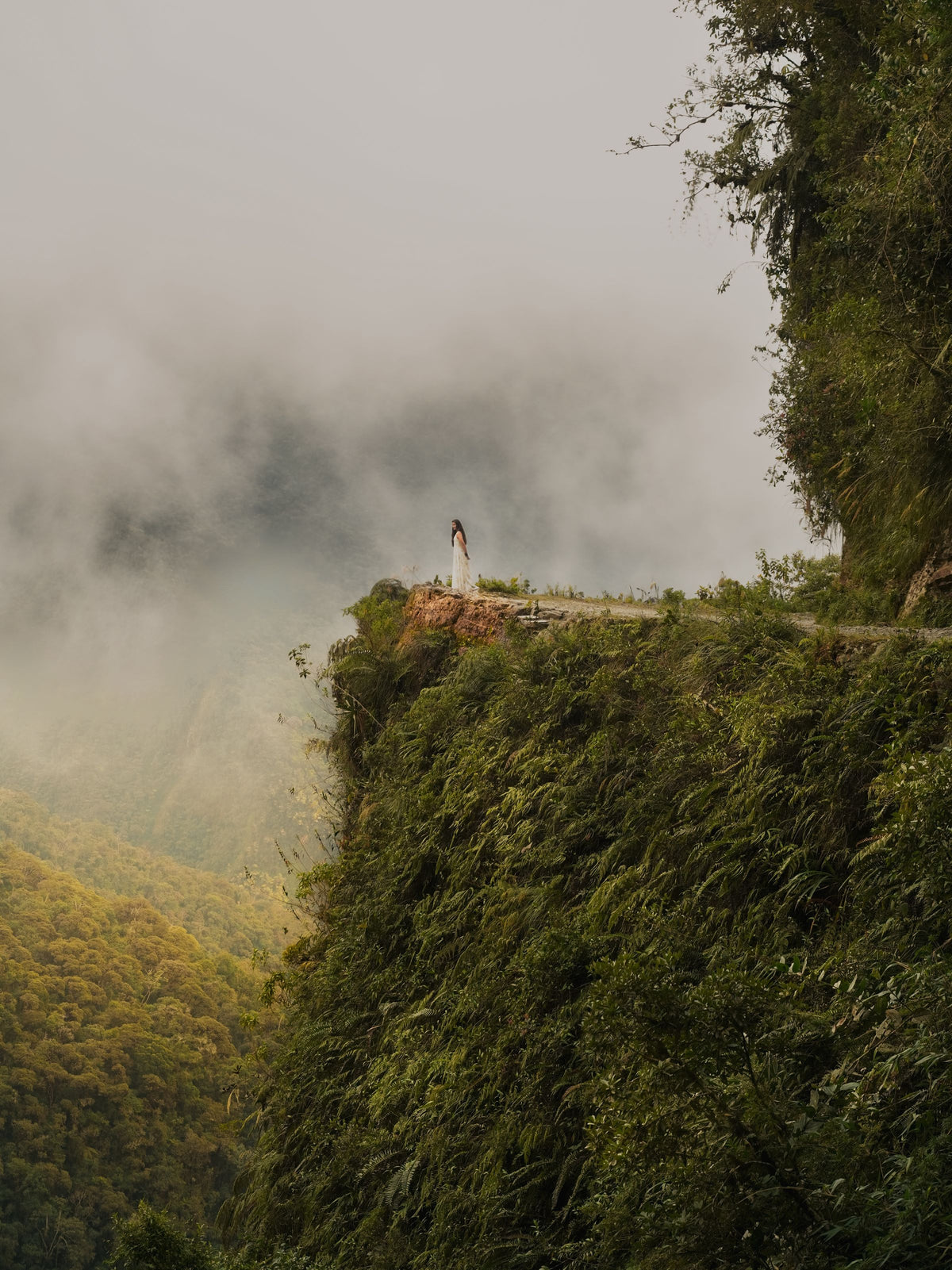 Cloud forest in the Yungas, Bolivia