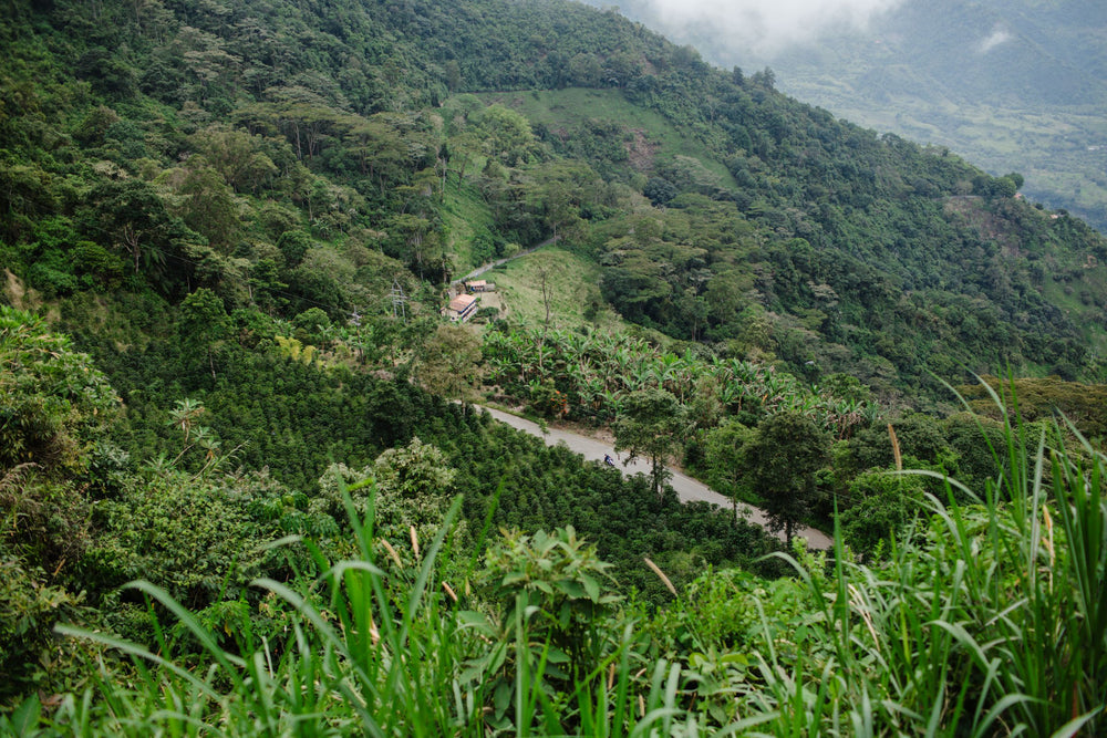 Colombia