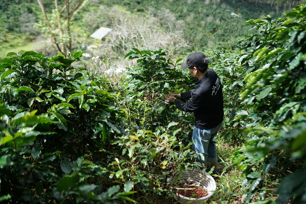 Colombia