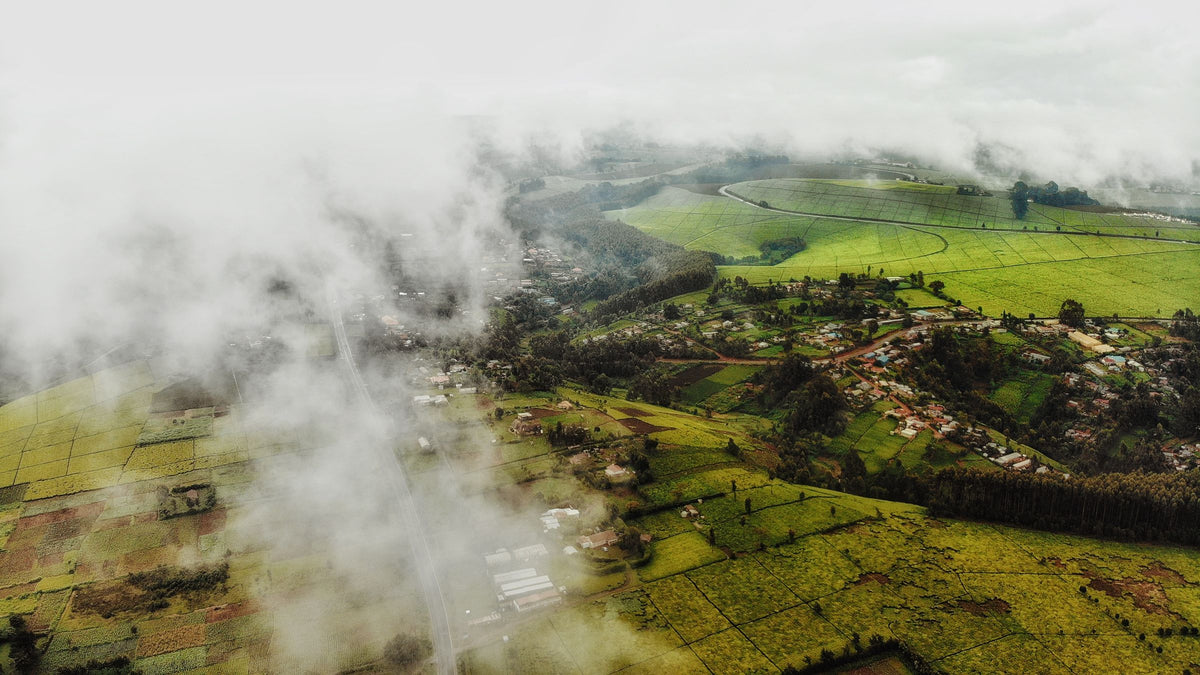 Farmland near Riara Ridge, Kiambu County, Kenya